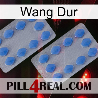 Hard Wang 20